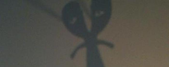 image from shadow workshop